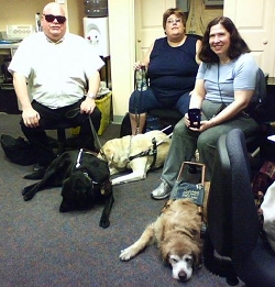 image of volunteers and guide dogs